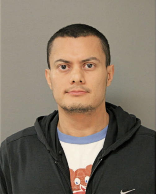 MARLON J WAY, Cook County, Illinois