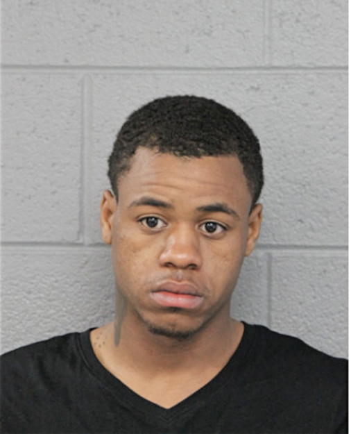 ANTHONY L WILLIAMS, Cook County, Illinois