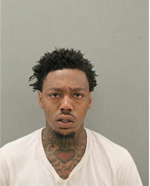 DIJOUN T YOUNG, Cook County, Illinois