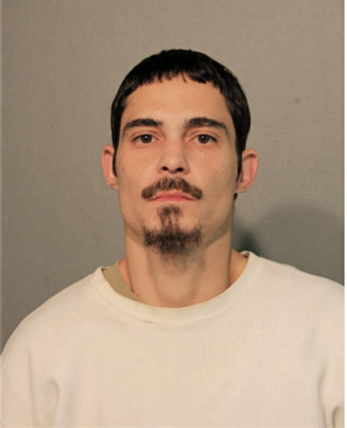 HECTOR A ACEVEDO, Cook County, Illinois