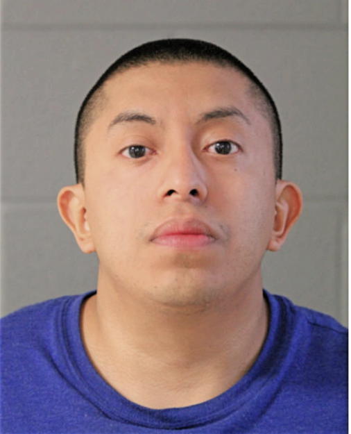 RAFAEL ANRADE-MOLINA, Cook County, Illinois