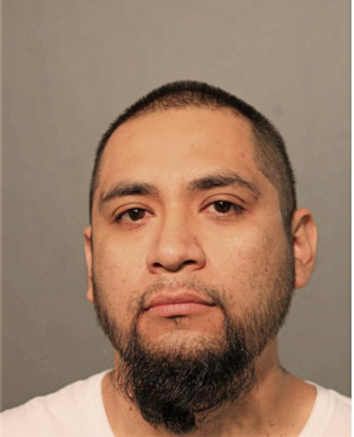 VICTOR A BAEZ, Cook County, Illinois
