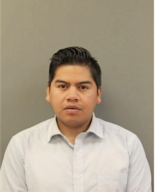 PEDRO BAHENA-ARAUJO, Cook County, Illinois