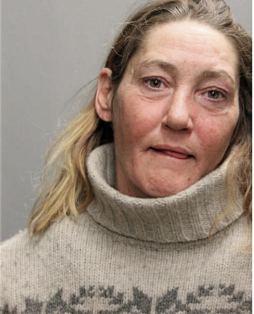WHITNEY R BRUCE, Cook County, Illinois