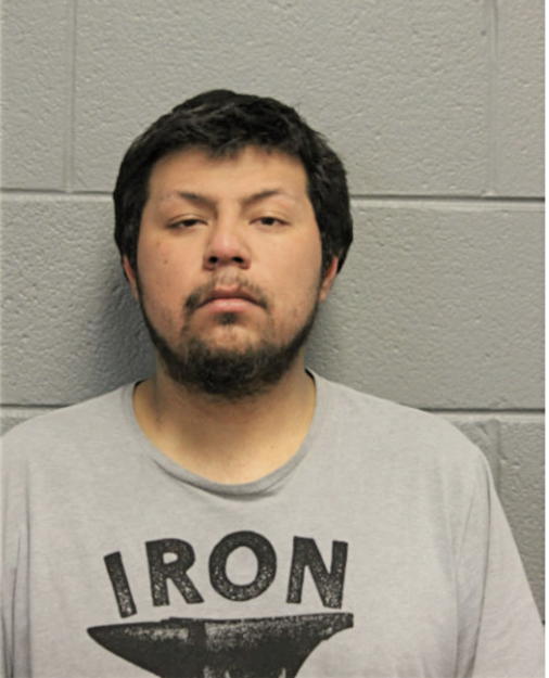 FREDDY CASTREJON, Cook County, Illinois