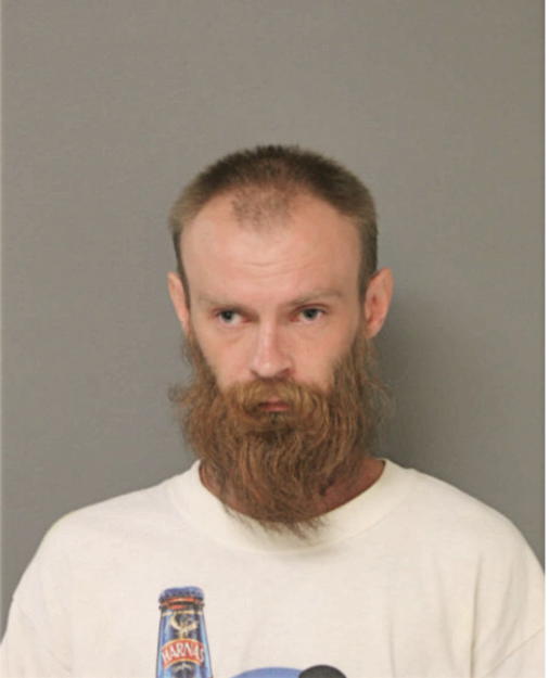 ANDRZEJ P DOMIAN, Cook County, Illinois