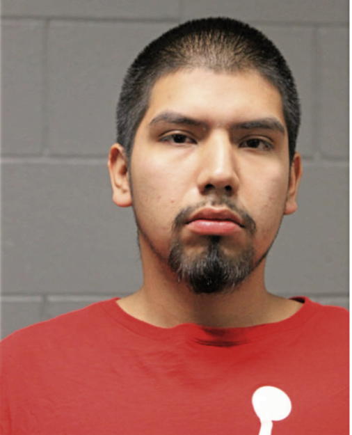 STEVEN GARCIA, Cook County, Illinois