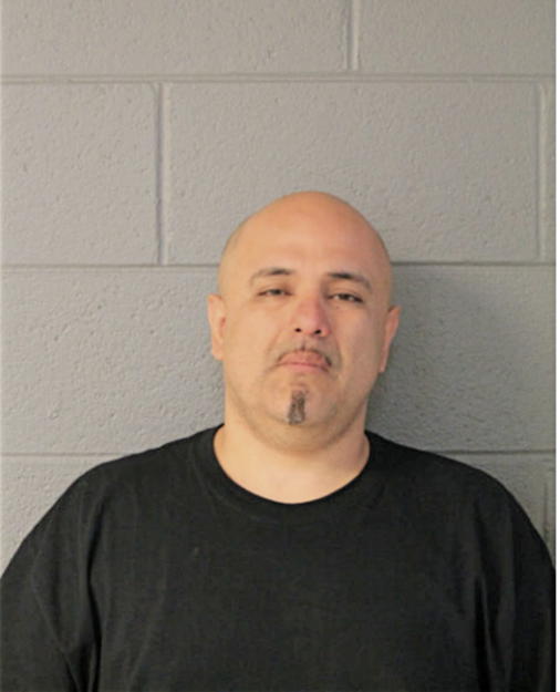 ANGEL P GONZALEZ, Cook County, Illinois
