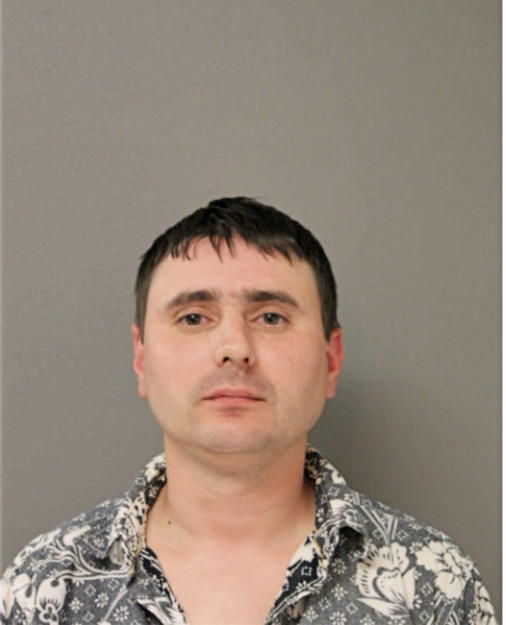 VIKTOR HARUK, Cook County, Illinois