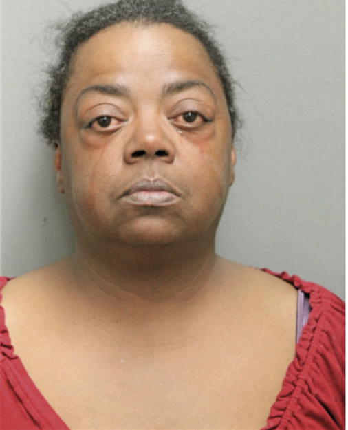 CARMEN J JOHNSON, Cook County, Illinois