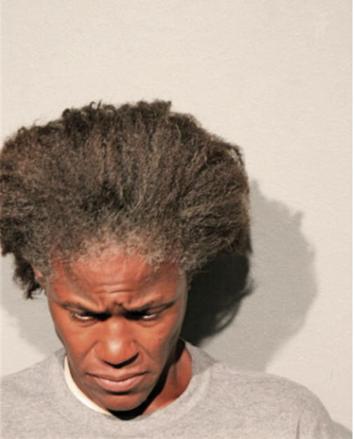 PATRICIA L LANE, Cook County, Illinois
