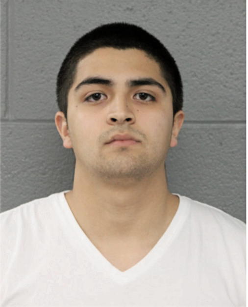 JOSE M GONZALEZ, Cook County, Illinois
