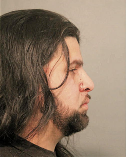 ARCHIMIDES S MORALES, Cook County, Illinois