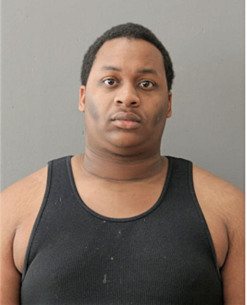 TERENCE A PALMER, Cook County, Illinois