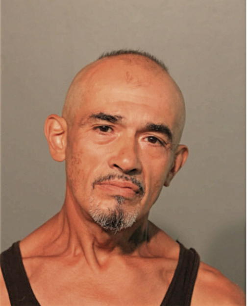 RENEE PEREZ, Cook County, Illinois