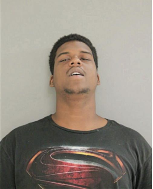 CHRISTOPHER A PERRY, Cook County, Illinois