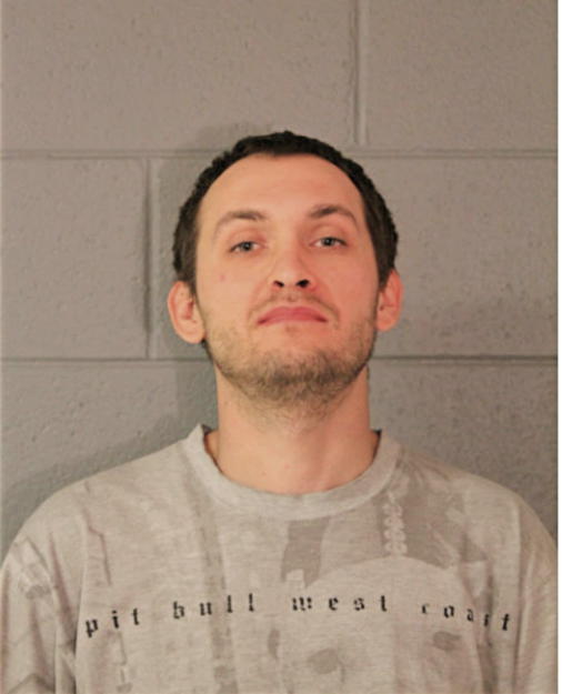 DAWID P PODLESNY, Cook County, Illinois
