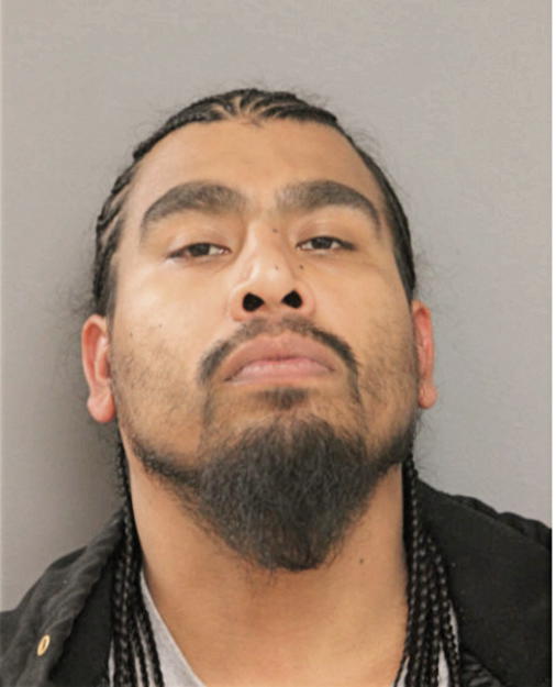 GILDARDO M ROSALEZ, Cook County, Illinois