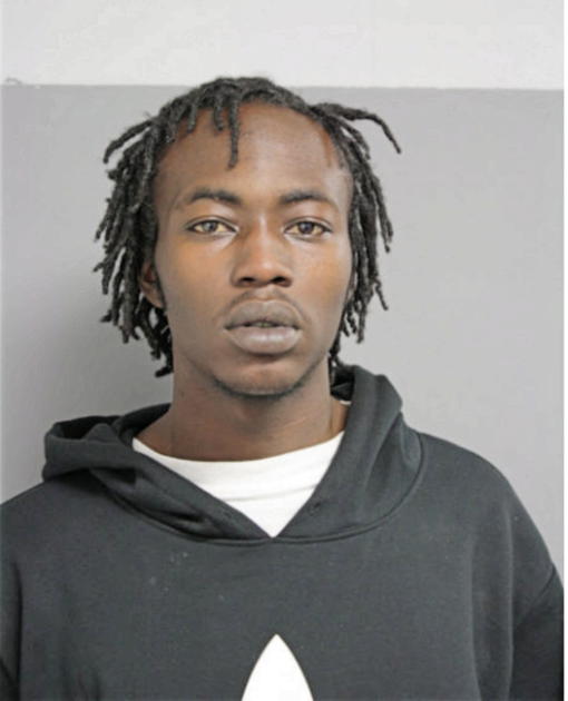 ELIJAH I TERRY, Cook County, Illinois