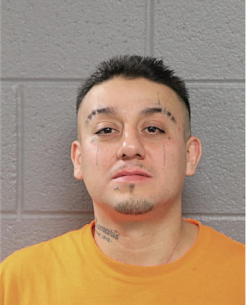 JOSE M VACA, Cook County, Illinois