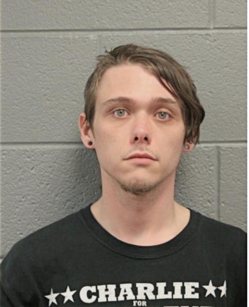 SEAN M WAFFIRD, Cook County, Illinois