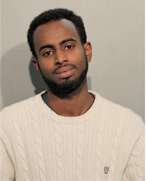 RAMADAN A ABDULLANI, Cook County, Illinois