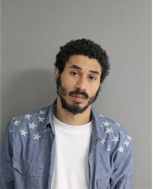TYRONE S ANDERSON, Cook County, Illinois