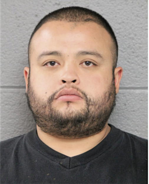 JOSE ANDRADE, Cook County, Illinois