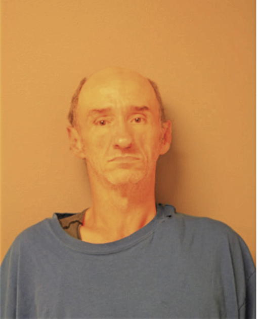 RONALD A BASHAM, Cook County, Illinois