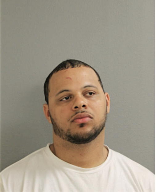 NATHAN DREW COLLEGE-JOHNSON, Cook County, Illinois