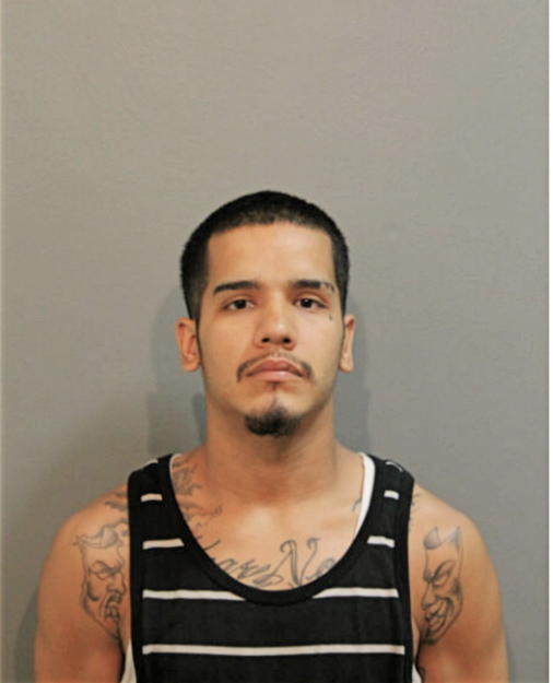 RICARDO DENAVA, Cook County, Illinois
