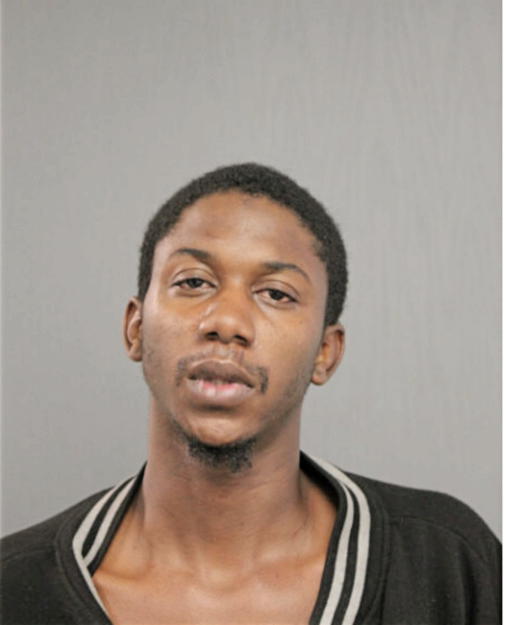 MICHAEL J DOSS, Cook County, Illinois