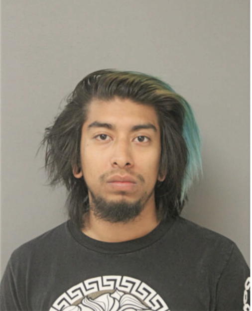 ANDRES FLORES, Cook County, Illinois
