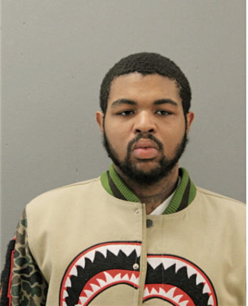 BRUCE E FORD, Cook County, Illinois