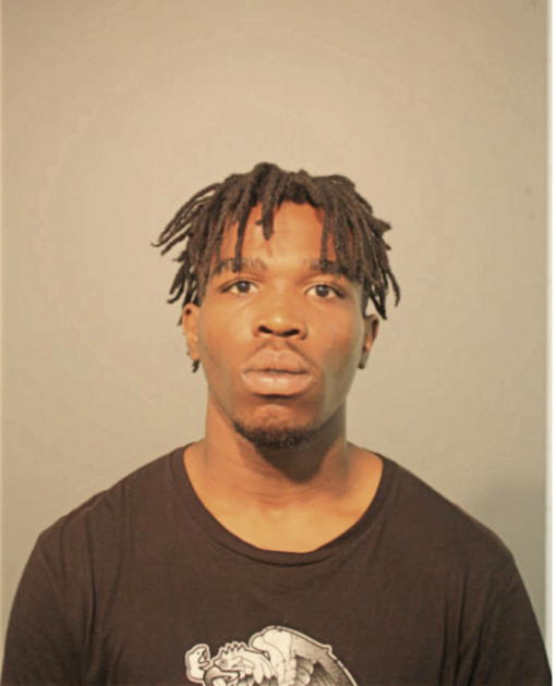 TERRELL L FORT, Cook County, Illinois