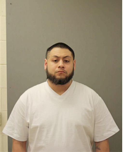 MAX GARCIA, Cook County, Illinois