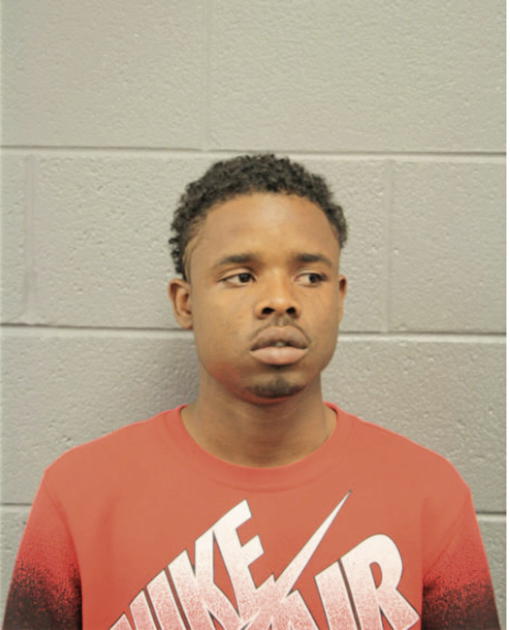 TERRILL T HAYES, Cook County, Illinois