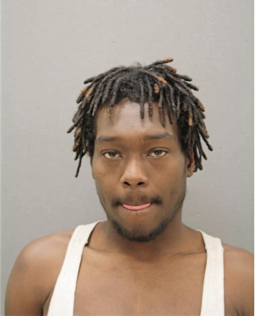 PETER J HOOD, Cook County, Illinois