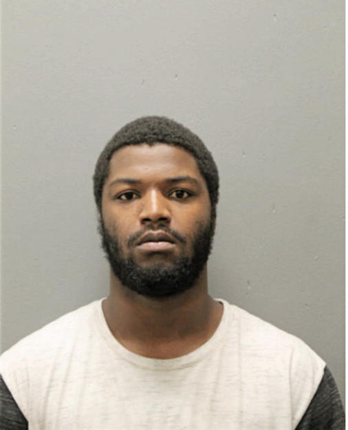 BRIAN J JACKSON, Cook County, Illinois