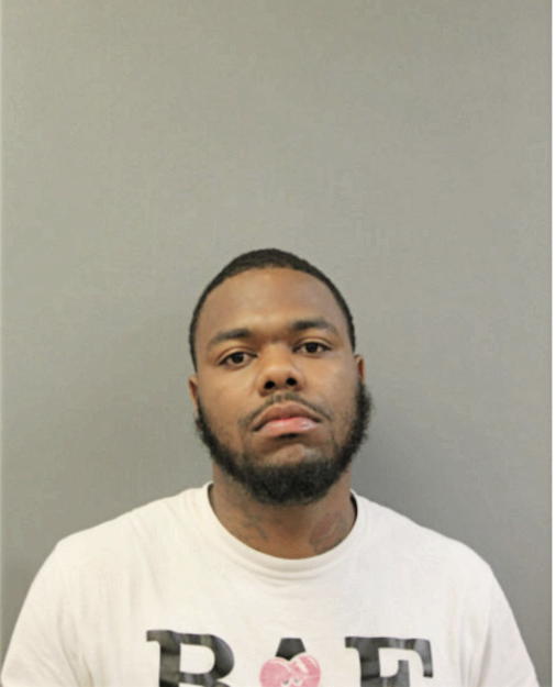 BRYCE A JOHNSON, Cook County, Illinois