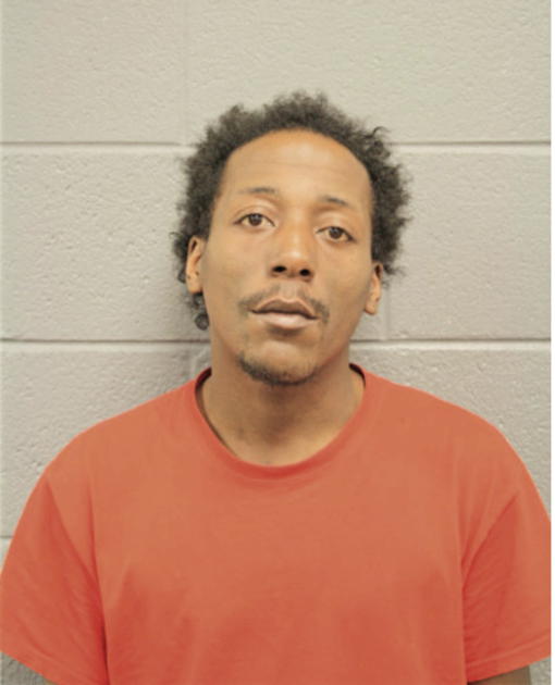 SEAN M JOHNSON, Cook County, Illinois