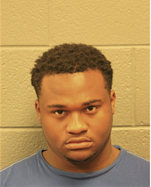 ROBERT L JONES, Cook County, Illinois