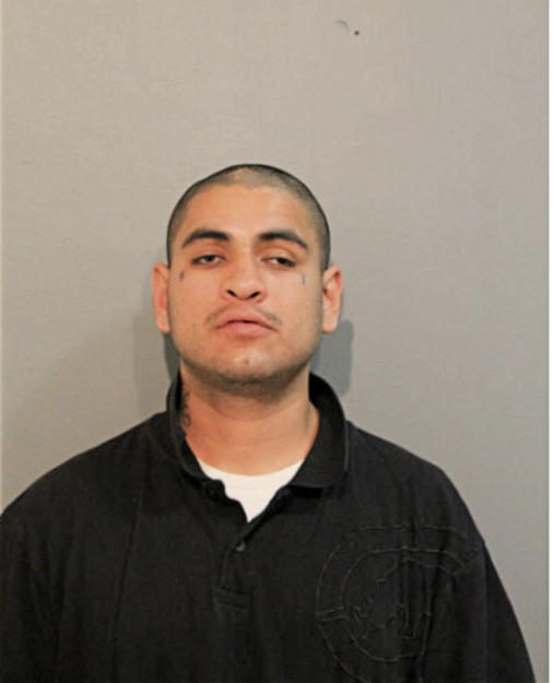 ARMANDO I MARTINEZ, Cook County, Illinois