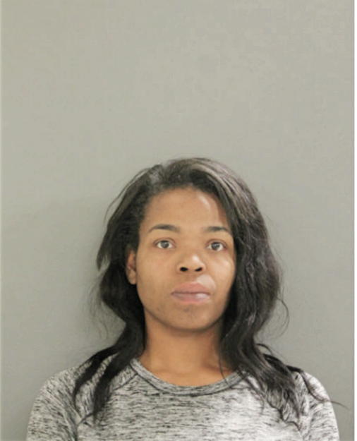 VERNITTA N MCKINNIS, Cook County, Illinois