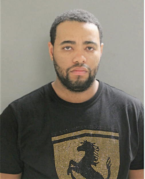 BRIAN LEE ONIKOYI, Cook County, Illinois