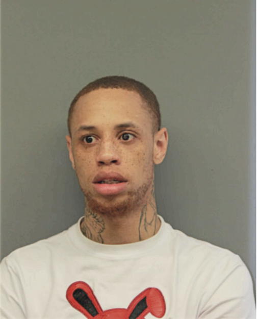 MICHAEL M PURNELL, Cook County, Illinois