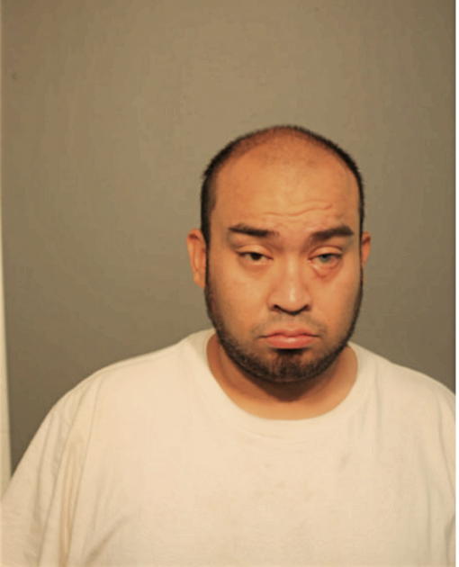 LOUIS F REGULES, Cook County, Illinois