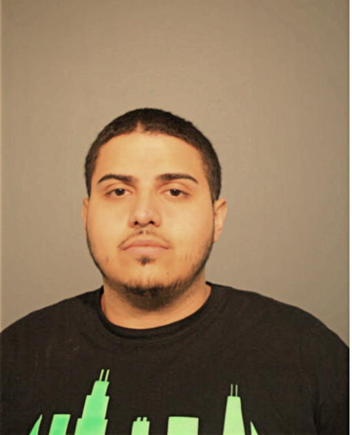 ALEXIS E RIVERA, Cook County, Illinois