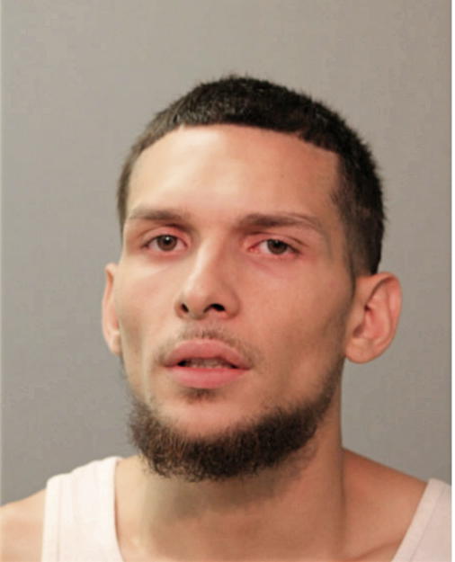 JOSHUA RUIZ, Cook County, Illinois