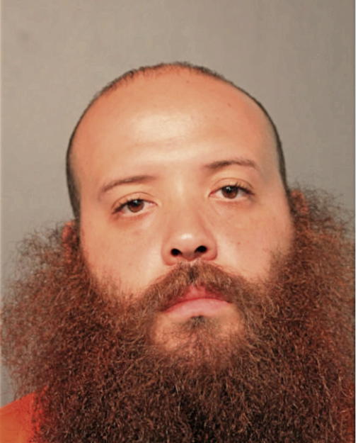 MICHAEL A SMITH, Cook County, Illinois
